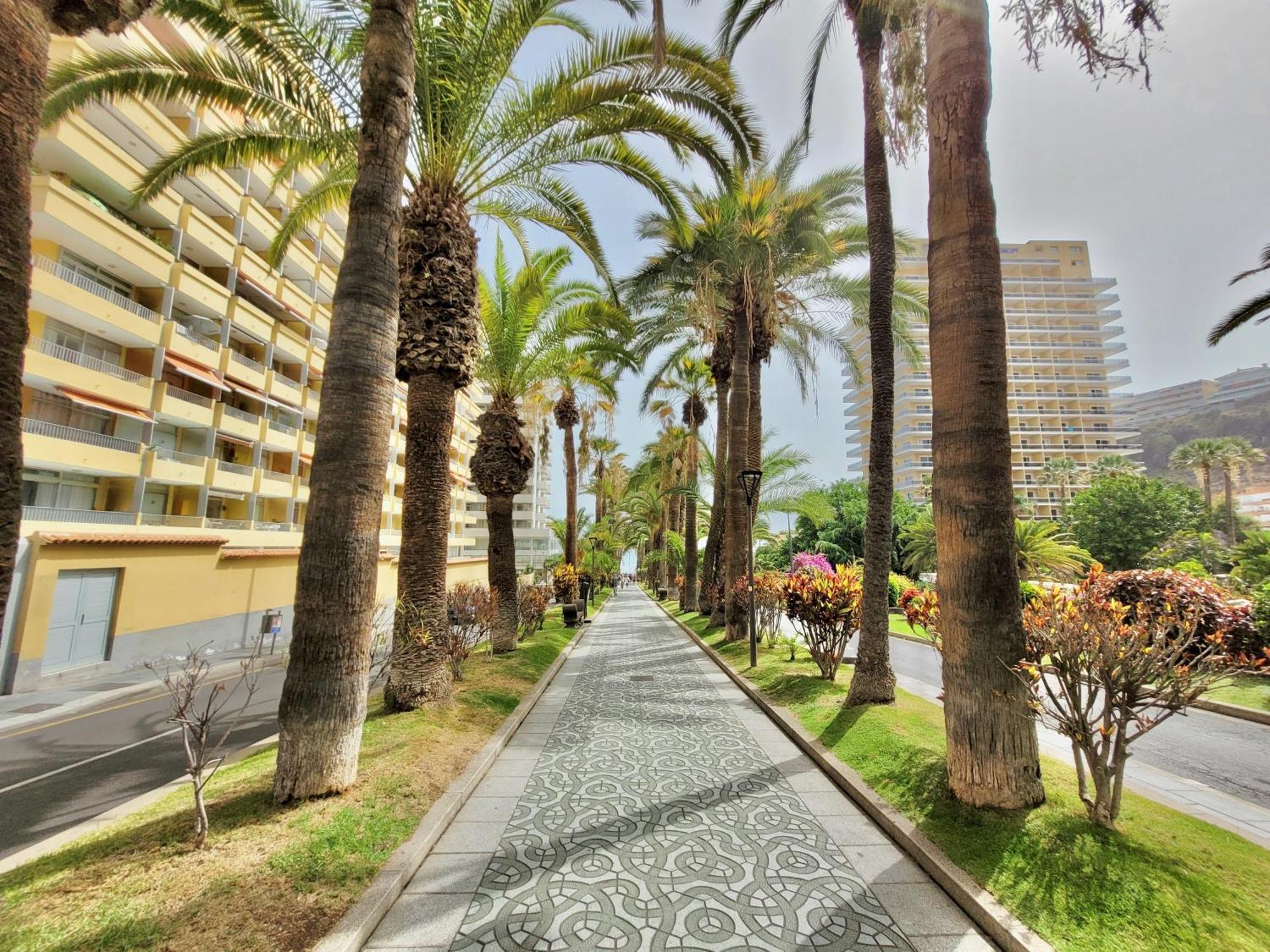 Alta Beachside Apartments بويرتو ذي لا كروز المظهر الخارجي الصورة